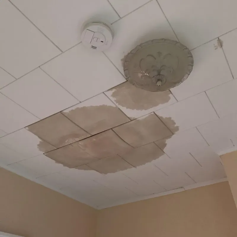 Ceiling Water Damage Repair in Rogers, AR