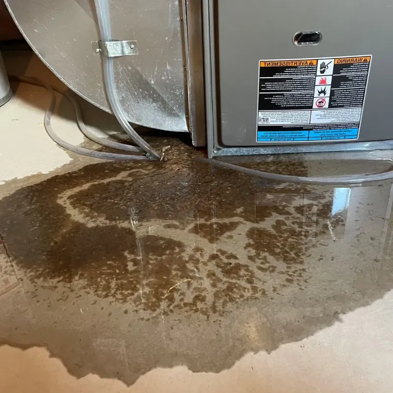 Pipe Burst and Leak Restoration in Rogers, AR